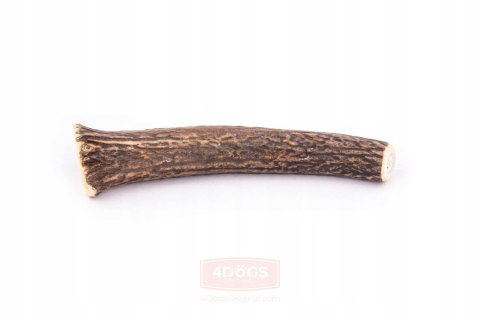 POROŻE JELENIA 4DOGS XL HARD NATURALNY GRYZAK DLA DUŻYCH PSÓW (POW. 30 kg)