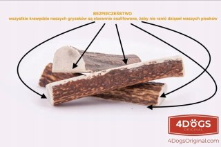 POROŻE JELENIA DLA PSA GRYZAK HARD M (PIES 8-20 kg) NATURALNA PRZYJEMNOŚĆ!